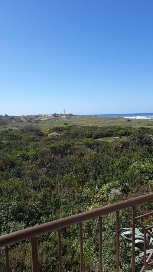 Ancient Paphos - Cozy Place Next To The Sea, Marina, Historical Sites, Buses, Mall, And Market Exteriör bild