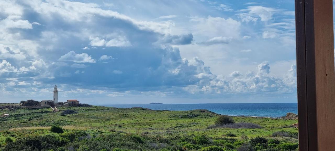 Ancient Paphos - Cozy Place Next To The Sea, Marina, Historical Sites, Buses, Mall, And Market Exteriör bild