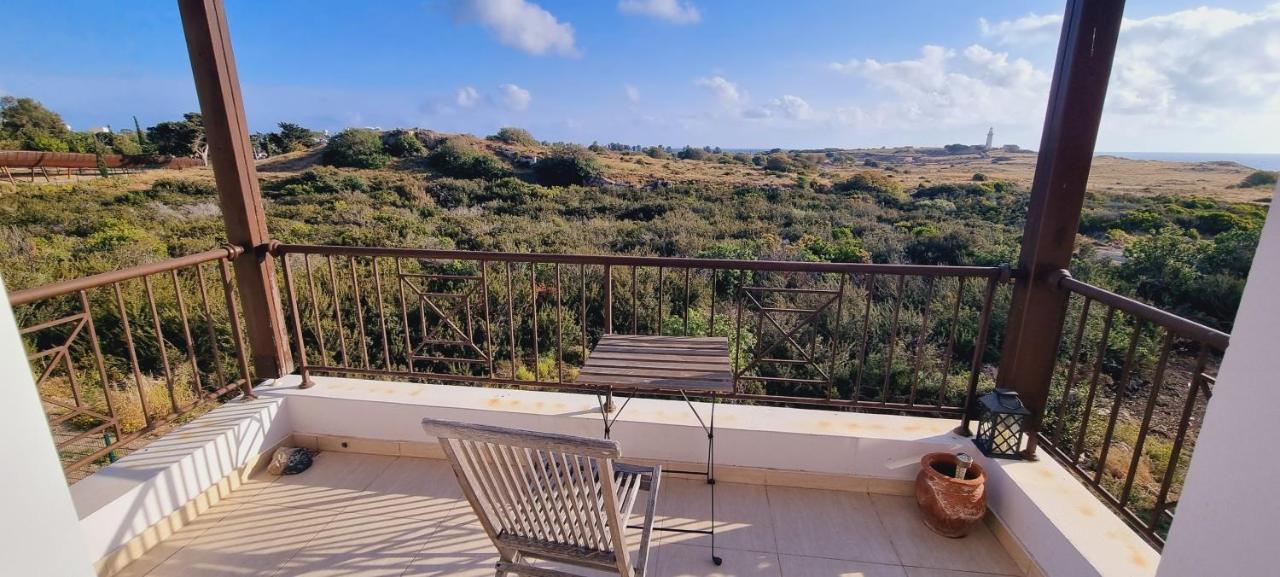 Ancient Paphos - Cozy Place Next To The Sea, Marina, Historical Sites, Buses, Mall, And Market Exteriör bild